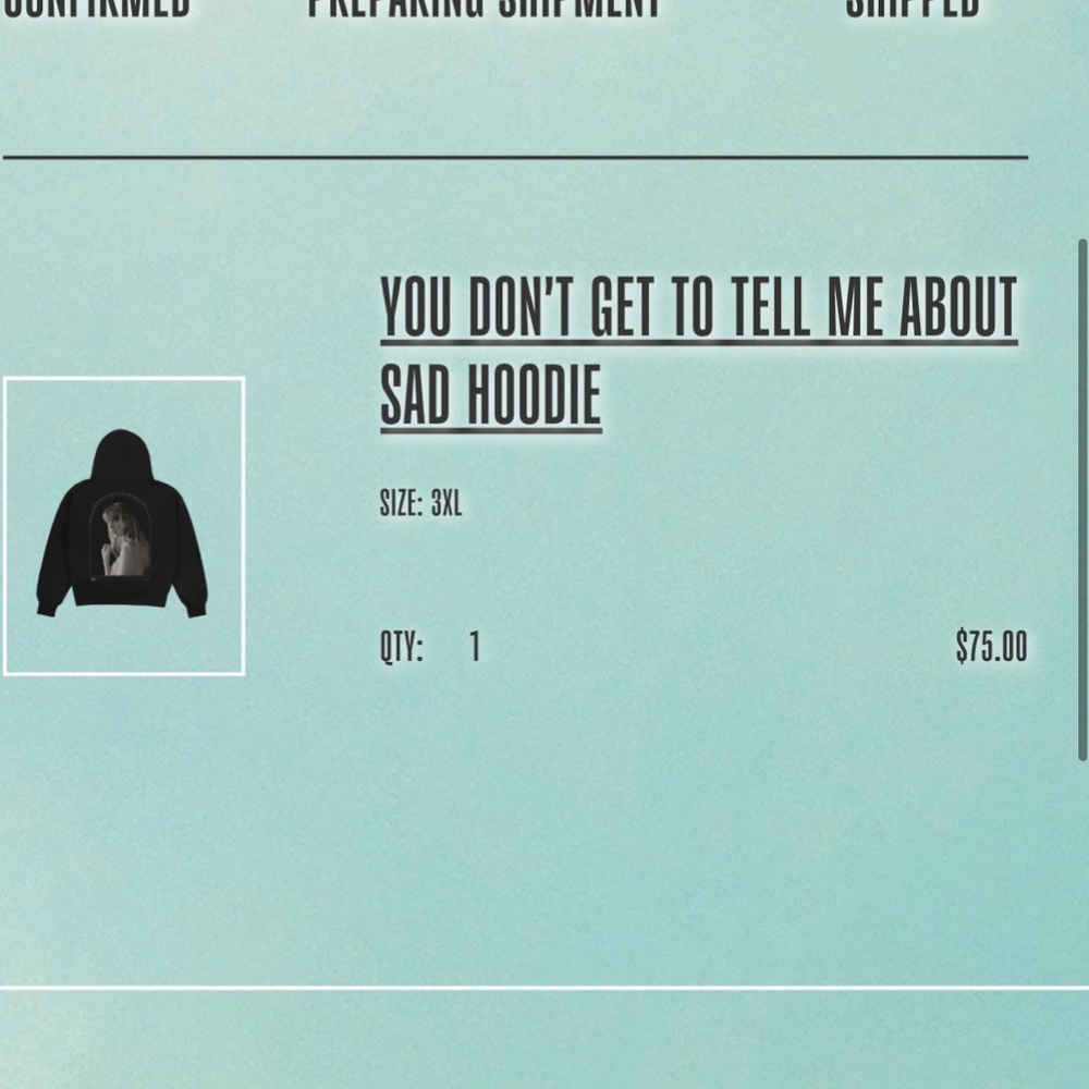 Taylor Swift Tortured Poets Department You Don’t Get to Tell me About Sad Hoodie - Picture 6 of 6